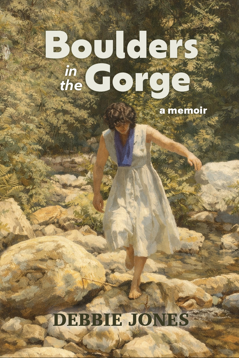 Boulders in the Gorge - Debbie Jones