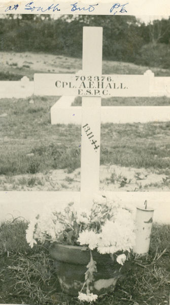 Ted Hall senior