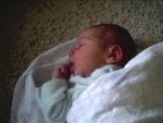 Bryce Cornel