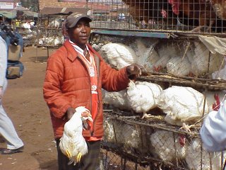 Soweto