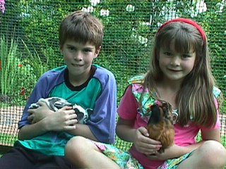 Jones Family Pets, 1998