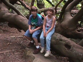 Table Mountain, 1998
