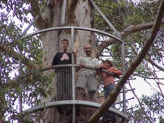 Diamond Tree Lookout