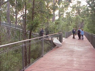 Tree Top Walk