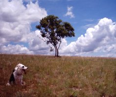 Diepsloot nature reserve