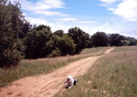 Diepsloot nature reserve