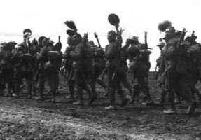Delville Wood