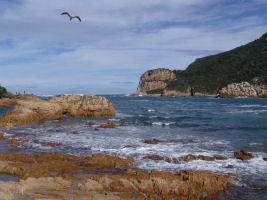 Knysna Heads Knysna Heads