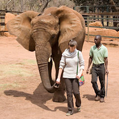 Elephant Sanctuary, Magaliesburg