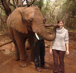 Elephant Sanctuary, Magaliesburg Elephant Sanctuary, Magaliesburg