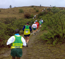 Harrismith Mountain Race