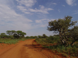 Mokala National Park Mokala National Park
