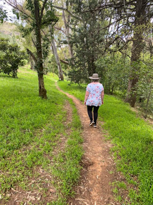 Walk in Clarens, 2022 Walk in Clarens, 2022