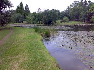 Braamfontein Spruit - Craighall