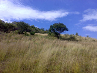 Klipriviersberg Nature Reserve