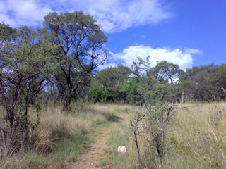 Klipriviersberg Nature Reserve