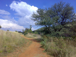 Klipriviersberg Nature Reserve