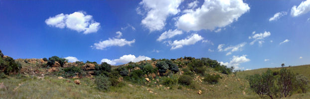 Veld Running
